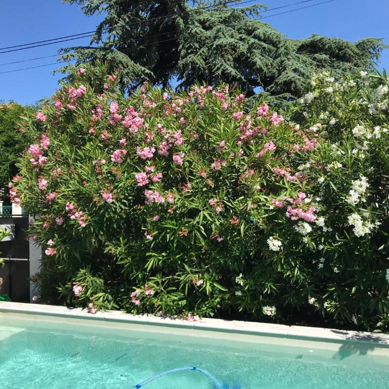 Villa au centre de Nîmes - Townhouse mit 3 Schlafzimmern - 9