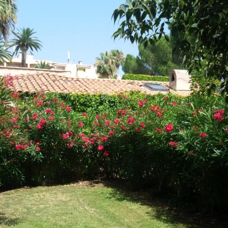 Appartamento vista splendida Residence du Golf - Appartement 1 Chambre - 11