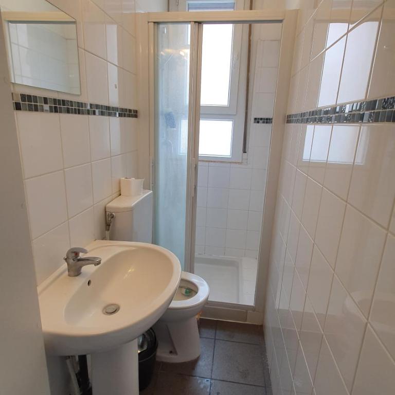 Joli T2- centre ville - Parking gratuit - WIFI - Apartment mit 1 Schlafzimmer - 10