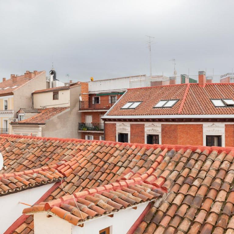Boutique Apartments in the Heart of Madrid - Apartamento Deluxe - 4