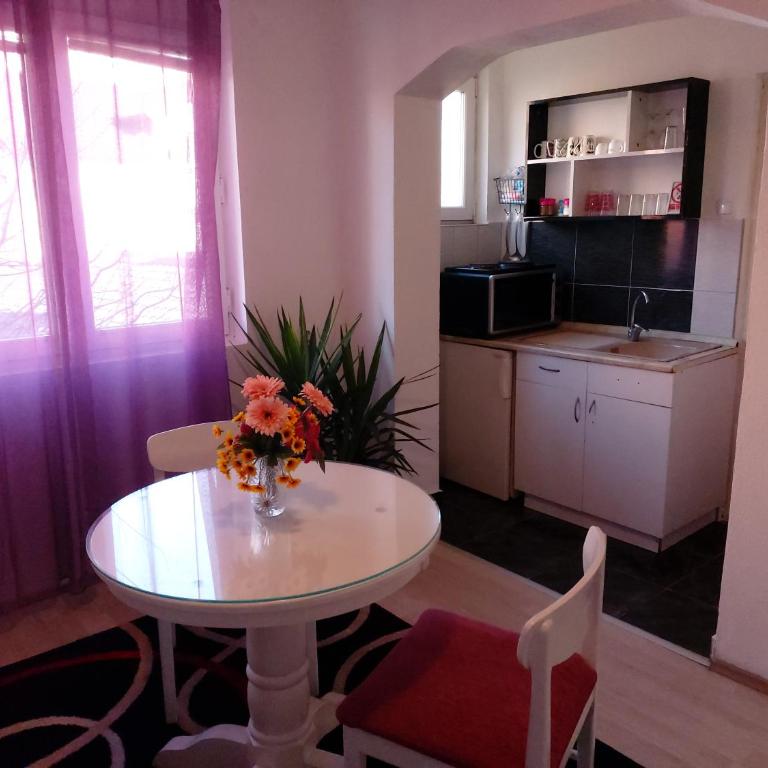 Apartment Sim - Apartman sa 1 Spavaćom Sobom - 17
