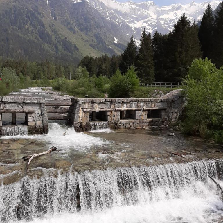 Suite Chalet - Appartamento - 21