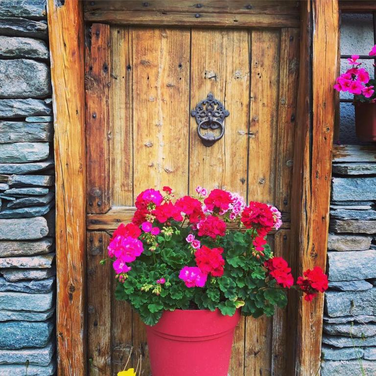 Chalet La Lauzette - Charme confort et équipement complet - Séjours toute l'année à Bessans - Nuitée ou semaine - Appartement - Rez-de-Chaussée - 18