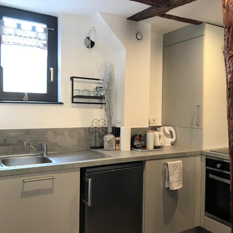Gîtes La Petite Venise Colmar - Apartment - 10