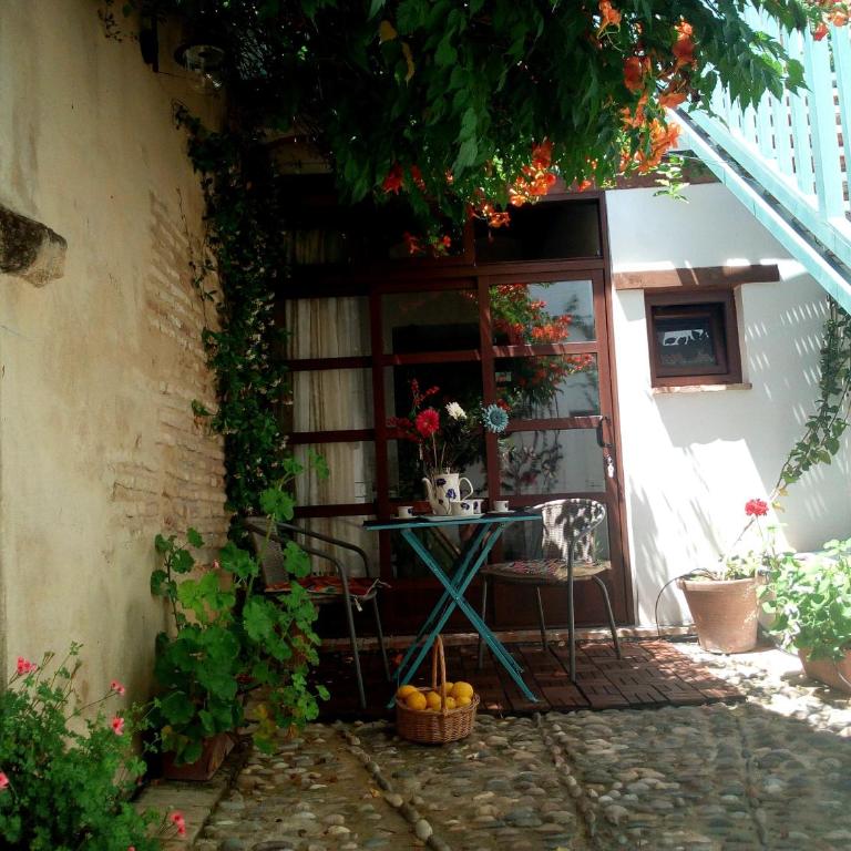 Patio Del Limonero - Estudio Estándar - 6