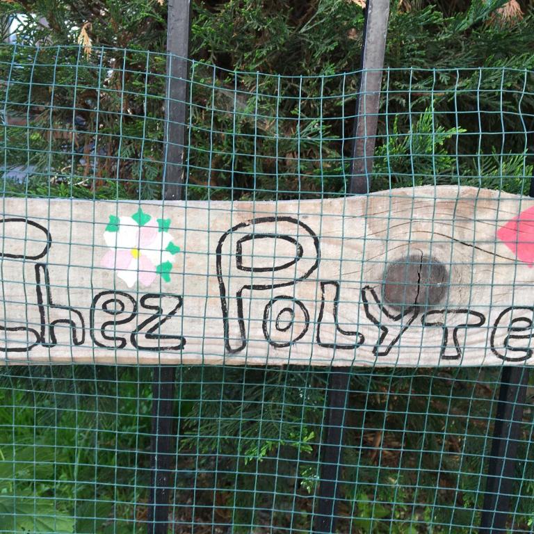 Chez polyte - Appartement - 15
