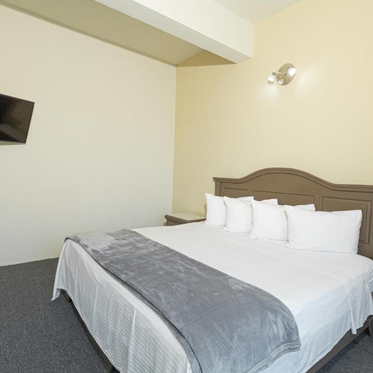 Hotel Plaza del Arco - Monterrey - Junior Suite - 4
