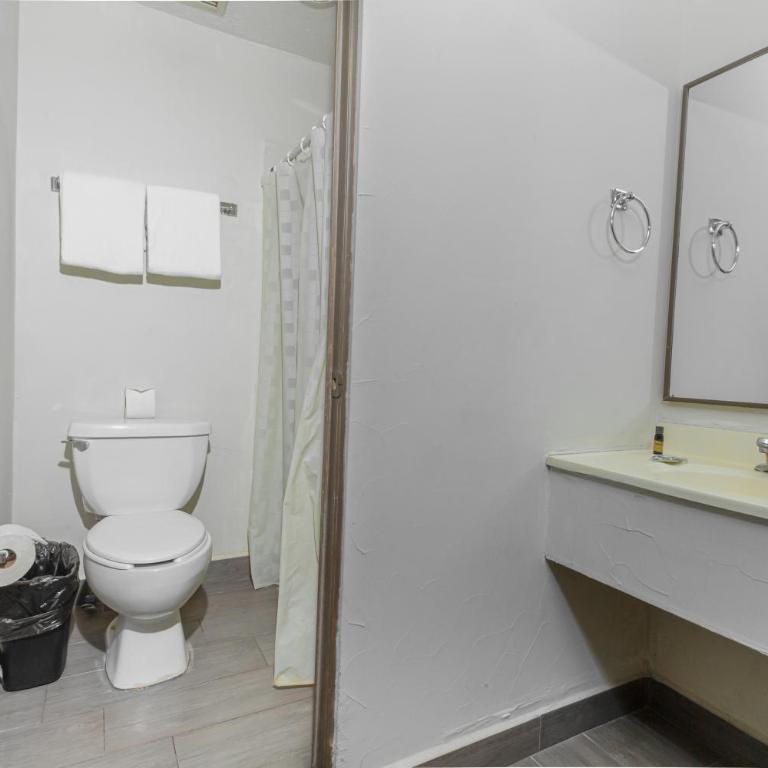 Hotel Plaza del Arco - Monterrey - Double Room with Two Double Beds - 5