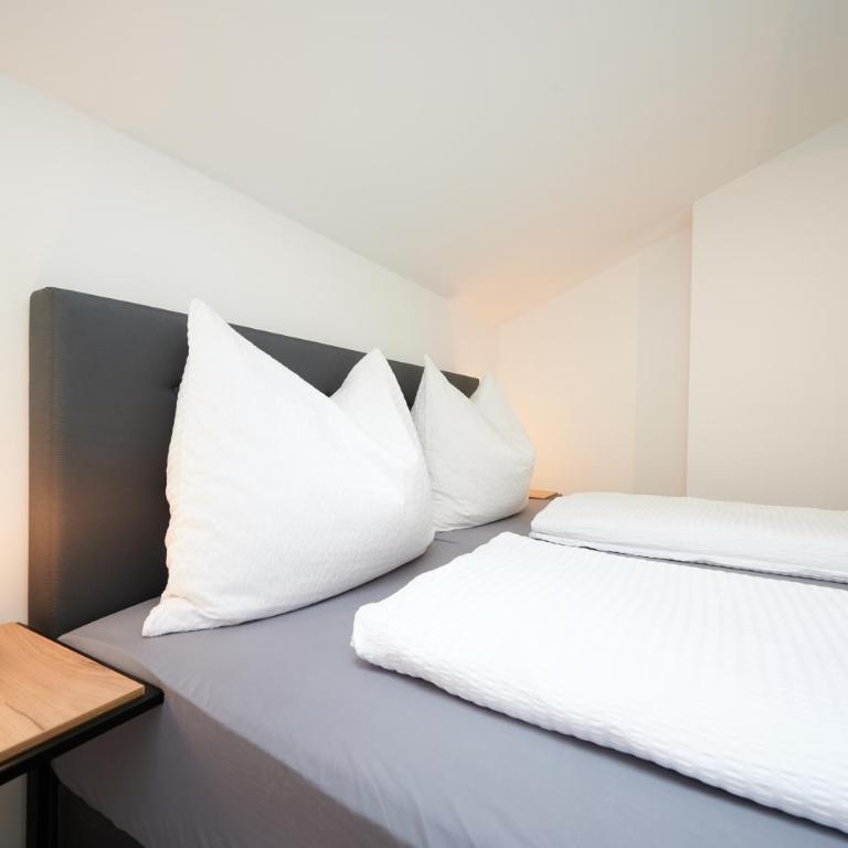 Apartments at Winterhafen - Appartement Familial - 24