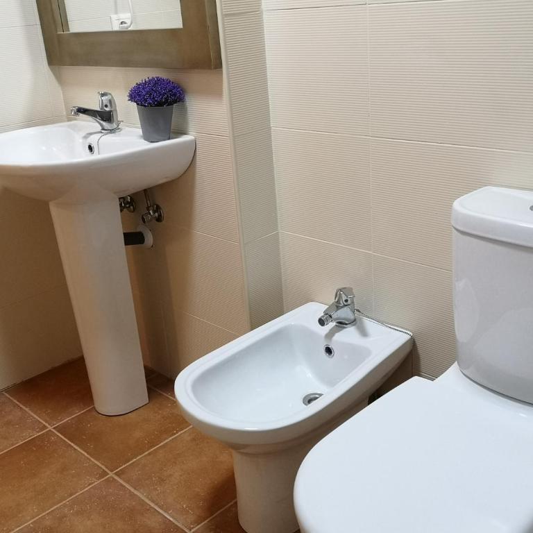 Salvatierra - Apartamento - 24