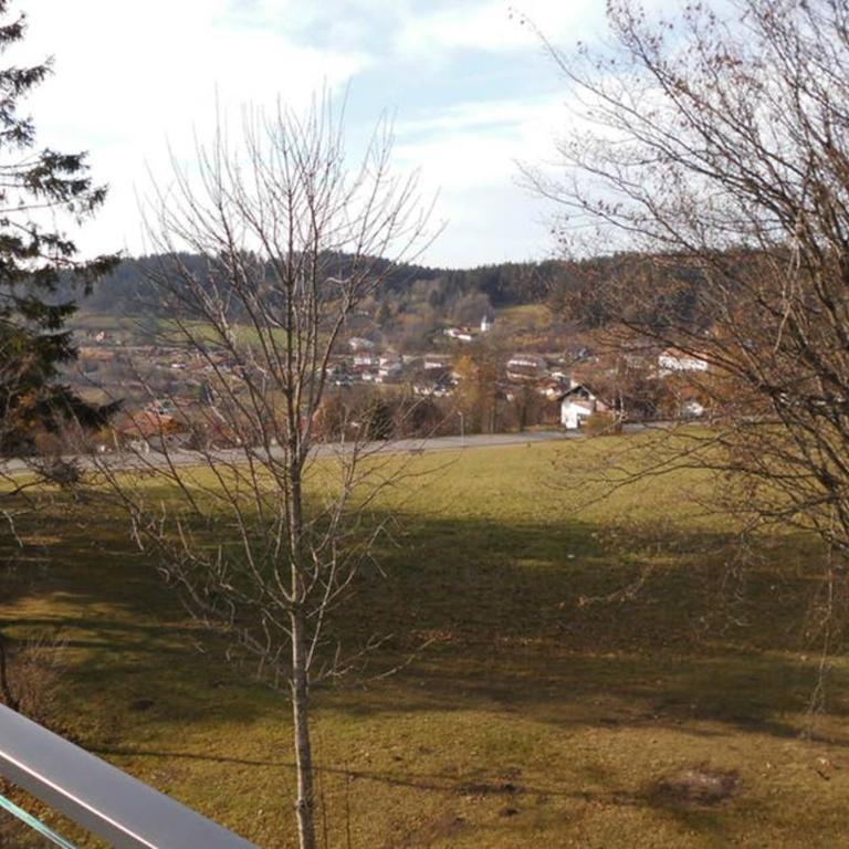 Bayerwald Appartement - Appartement avec Balcon - 20