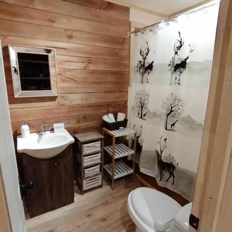 The Loft - One-Bedroom Chalet - 15