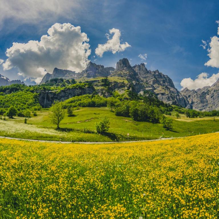 HAKs Alpine Studio with Mountain View Leukerbad - Studio mit Queensize-Bett - 18