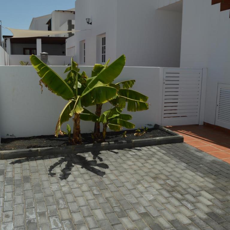 Mirafondo Beach - Casa de 3 dormitorios - 3