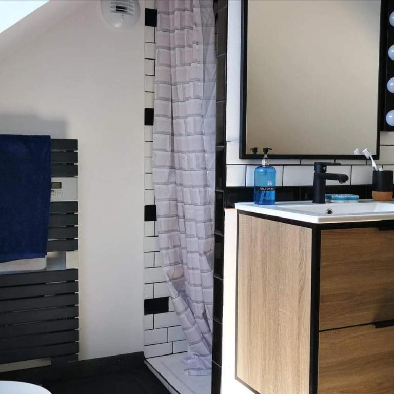 Maison Acacias Le Mans - Maison 2 Chambres - 21