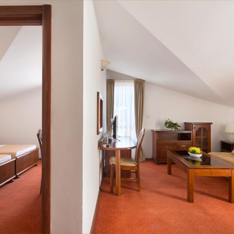 Villa Ljubanovic - Apartman Tipa "Suite" sa 1 Spavaćom Sobom - 1