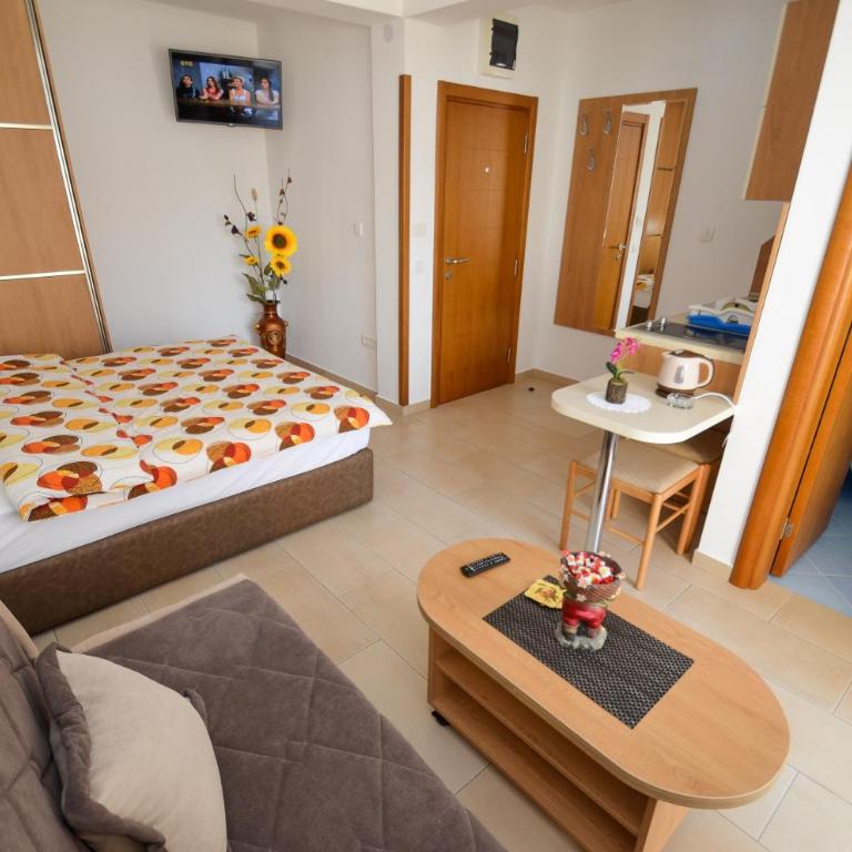 Apartments Ivanović - Studio with Balcony - 9