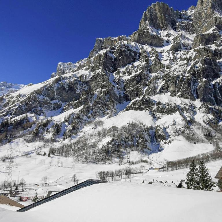 HAKs Alpine Studio with Mountain View Leukerbad - Studio mit Queensize-Bett - 19