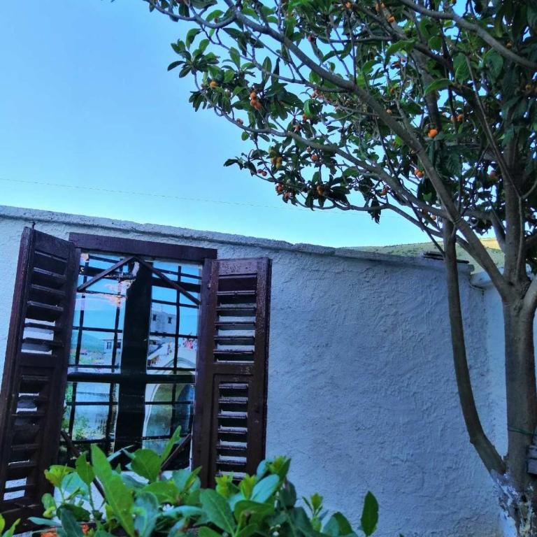 Vacation house Vila Guma Rastani Mostar - Villa - 58