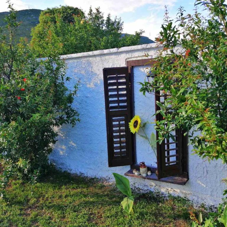 Vacation house Vila Guma Rastani Mostar - Villa - 54