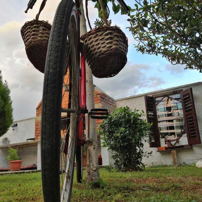 Vacation house Vila Guma Rastani Mostar - Villa - 50