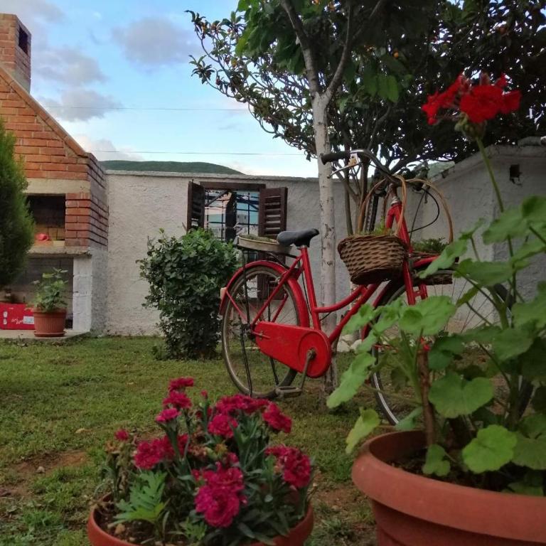Vacation house Vila Guma Rastani Mostar - Villa - 49