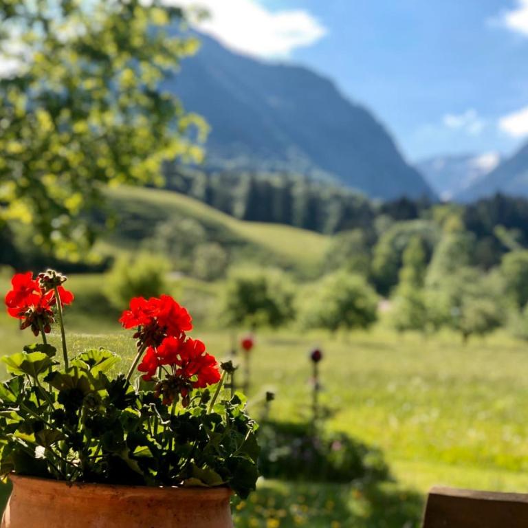 Landhaus Berktold - Apartment Amely mit Bergblick - 5
