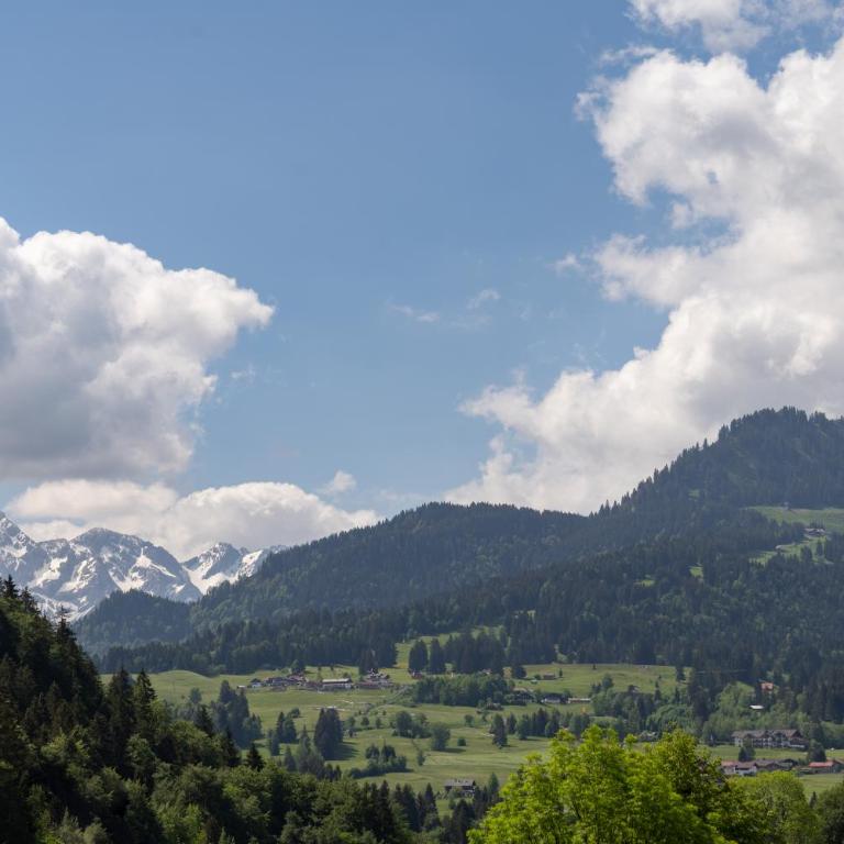 Oberstdorfer Bergwelt 108 - Studio-Apartment - 5
