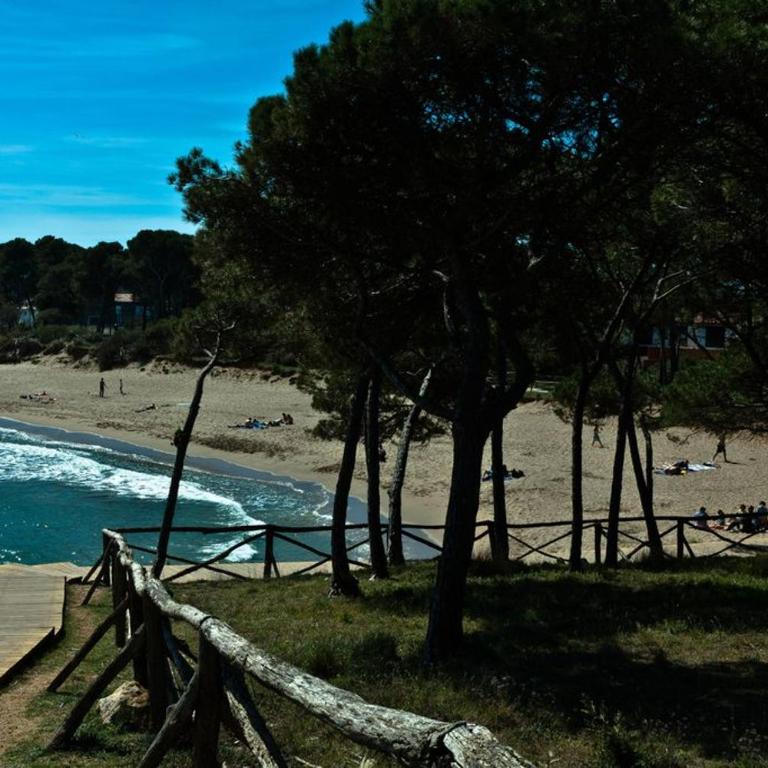 APARTAMENTO PIE DE PLAYA-Wifi free - Apartamento de 2 dormitorios - 33