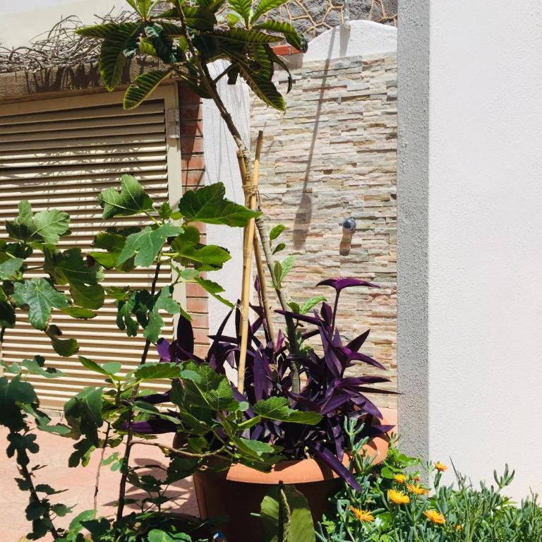 Levante beach houses - Appartamento con 2 Camere da Letto - 4
