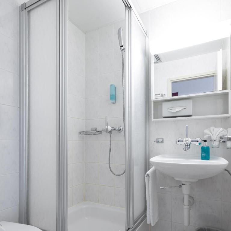 Hotel Lötschberg - Standard Double Room with Air Conditioning - 3