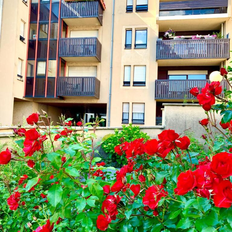 L'appart Moulin des Thermes Metz - Appartement 1 Chambre - 24