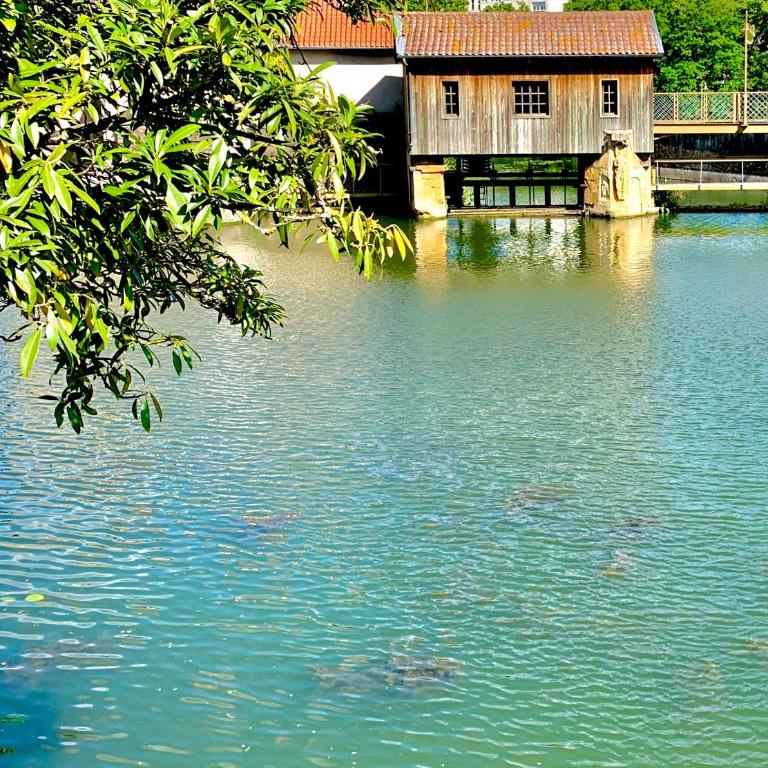 L'appart Moulin des Thermes Metz - Appartement 1 Chambre - 31
