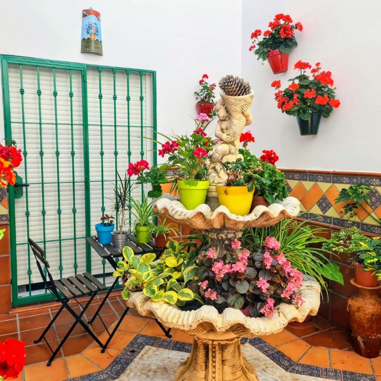 Apartamentos El Barrio - Estudio con balcón - 10
