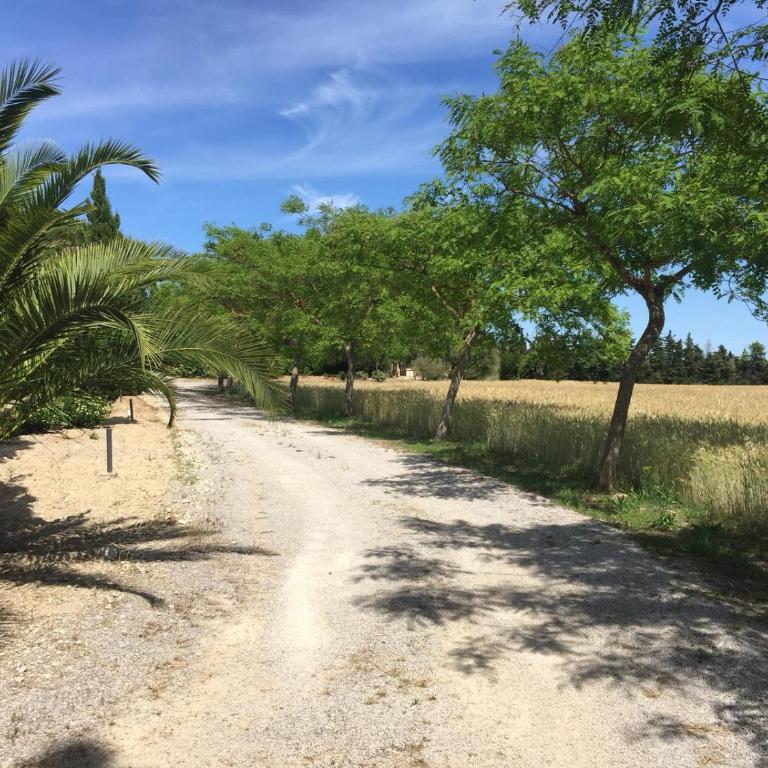 Villa Can Canaver - Villa - 32