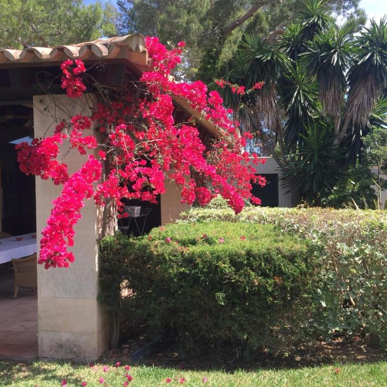 Villa Can Canaver - Villa - 31