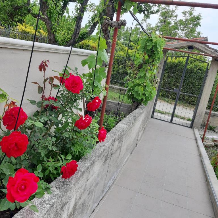 La Collinetta Dei Sassi - Two-Bedroom House - 21