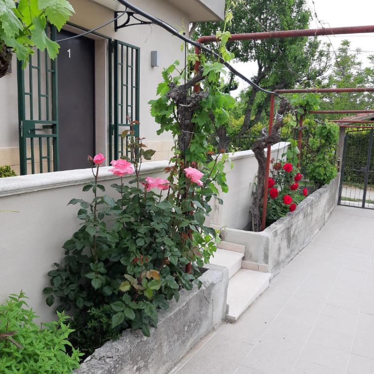 La Collinetta Dei Sassi - Standard Double or Twin Room - 11