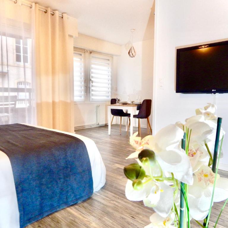 L'appart Moulin des Thermes Metz - Appartement 1 Chambre - 5