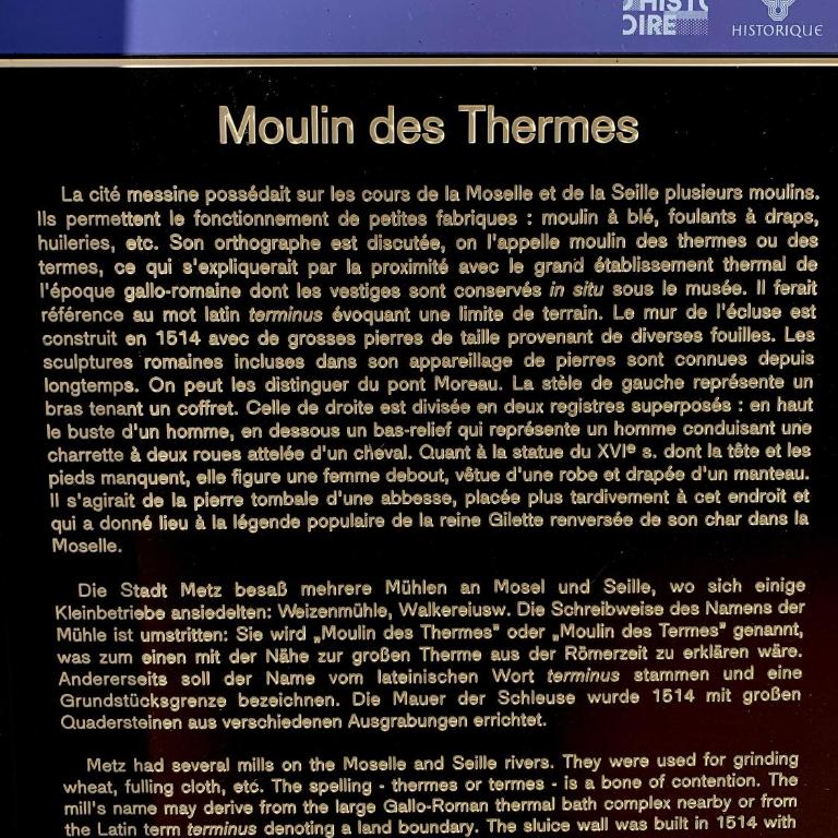 L'appart Moulin des Thermes Metz - Appartement 1 Chambre - 32