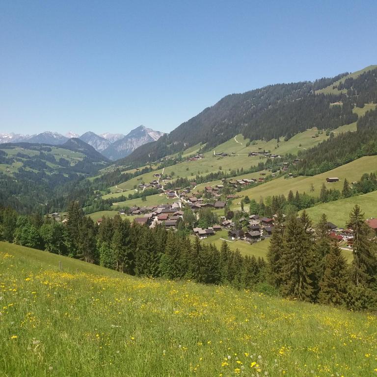 Haus Raimund " KLEIN aber FEIN " - Apartment mit Blick auf die Berge - 44