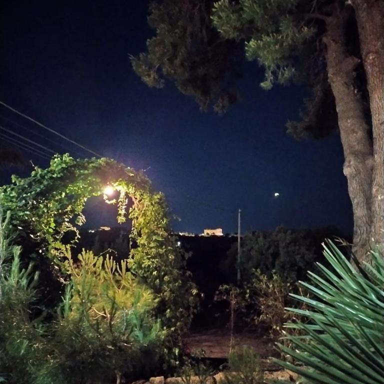 B&B Villa San Marco - Camera Quadrupla con Vista Giardino - 1