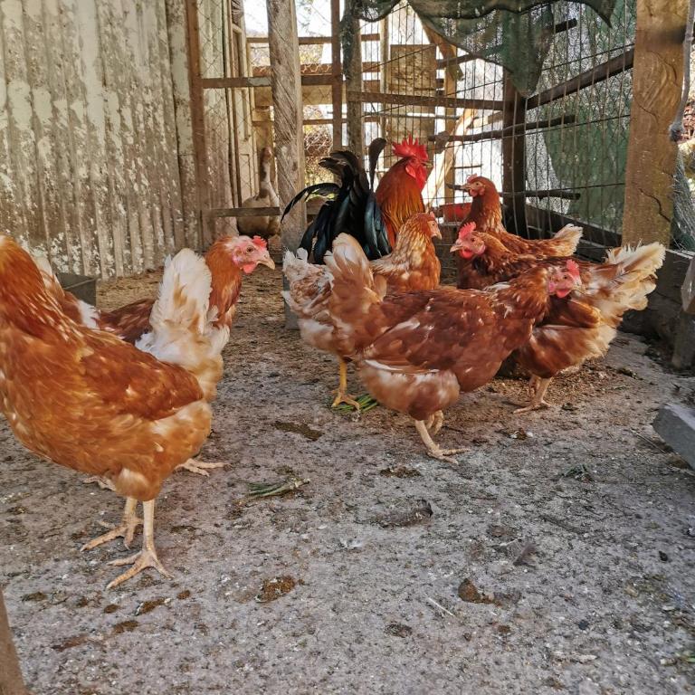 Sunny Bay Village - Mobile Home - 14