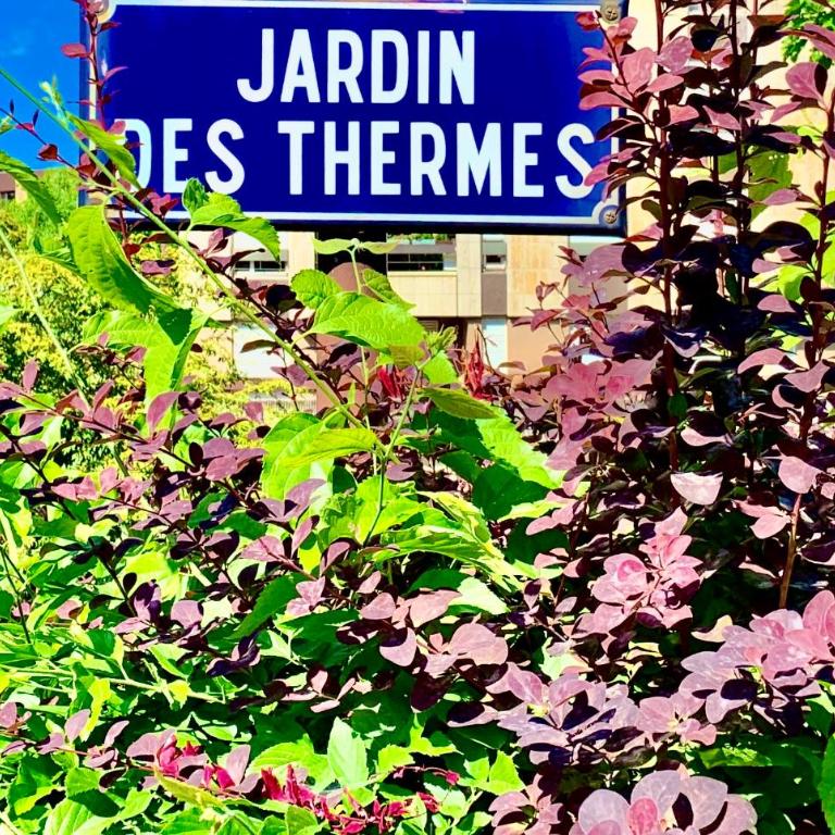 L'appart Moulin des Thermes Metz - Appartement 1 Chambre - 29