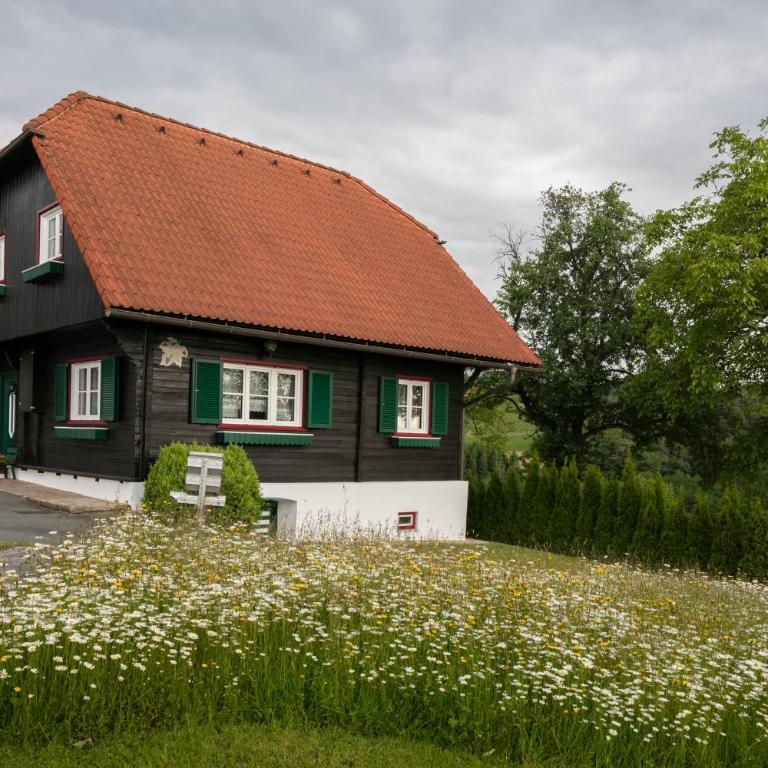 Ferienhaus Stoiser - Haus mit 4 Schlafzimmern - 2