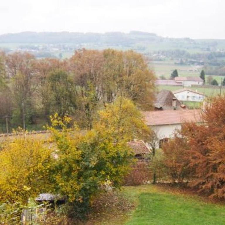 Le Merle Enchanteur - Appartement 1 Chambre - 2