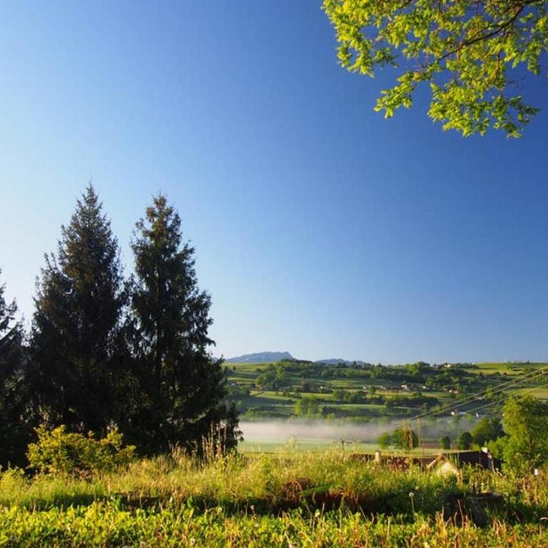 Le Merle Enchanteur - Appartement 1 Chambre - 5