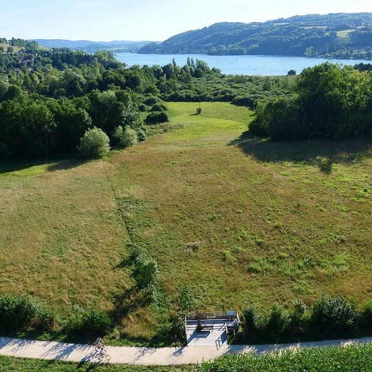 Le Merle Enchanteur - Appartement 1 Chambre - 25