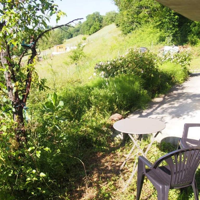 Le Merle Enchanteur - Appartement 1 Chambre - 17