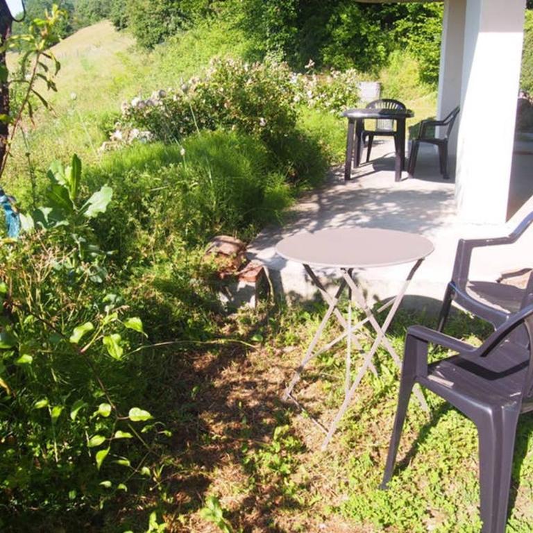 Le Merle Enchanteur - Appartement 1 Chambre - 19